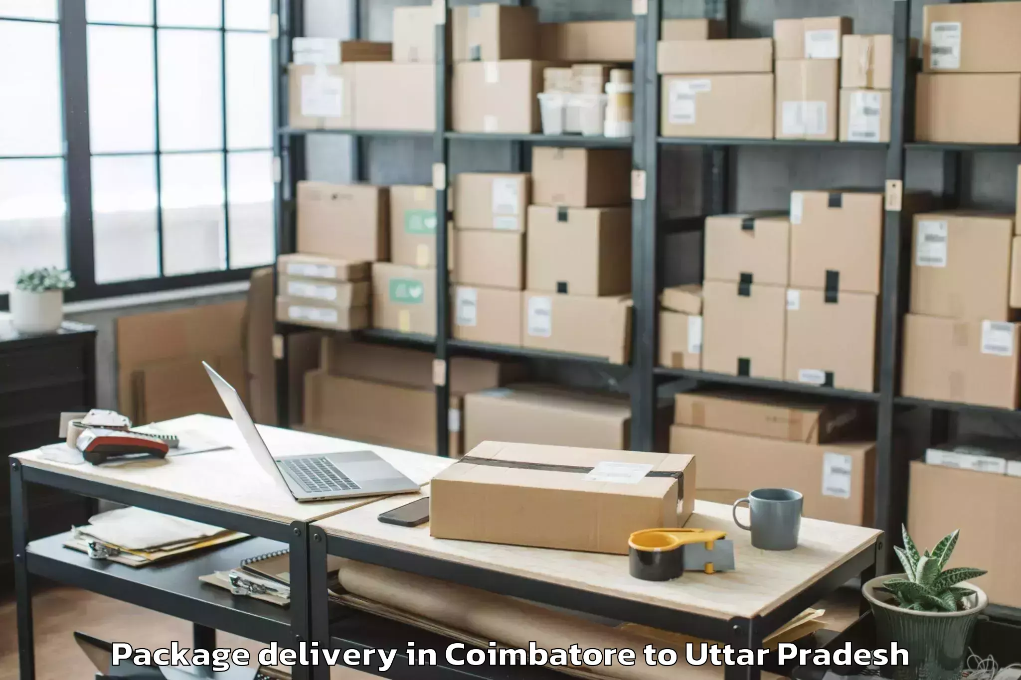 Hassle-Free Coimbatore to Tajpur Dehma Package Delivery